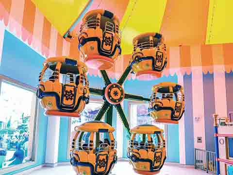 Quality mini Ferris Wheel in China